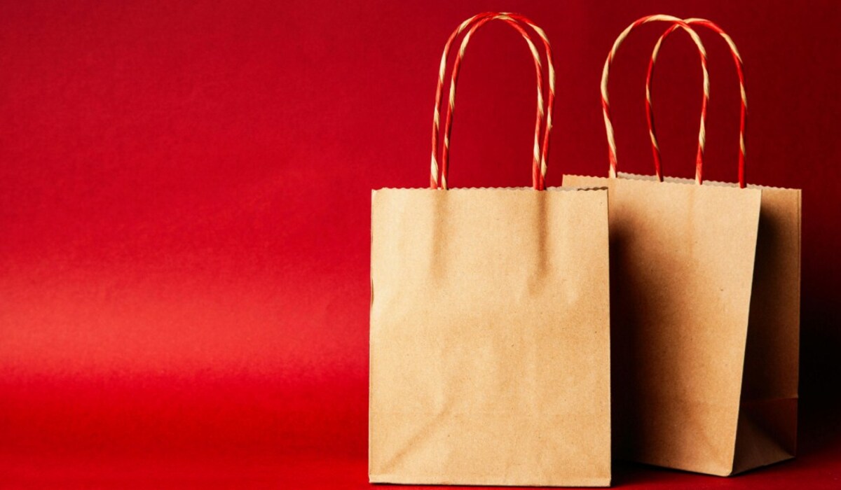 World Paper Bag Day 2024:  कौन सा बैग पर्यावरण के लिए सबसे बेहतर है? यहां जानें