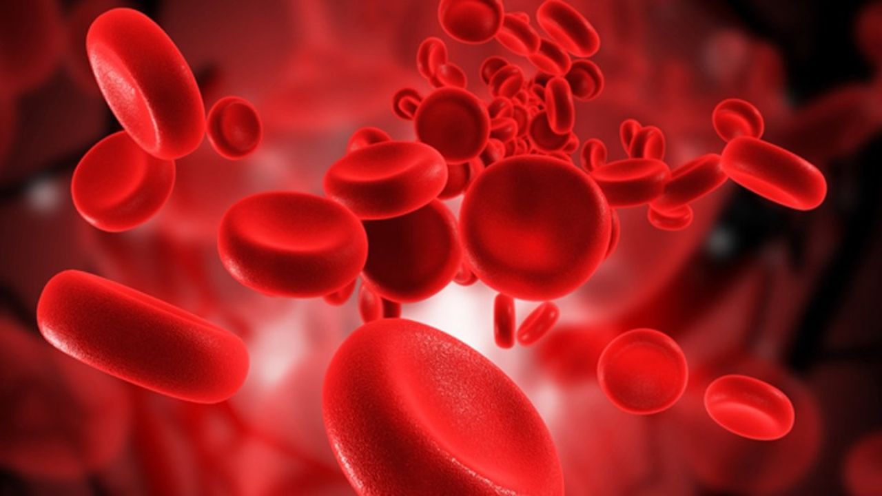 GK Quiz on Blood: कितना जानते हैं आप?
