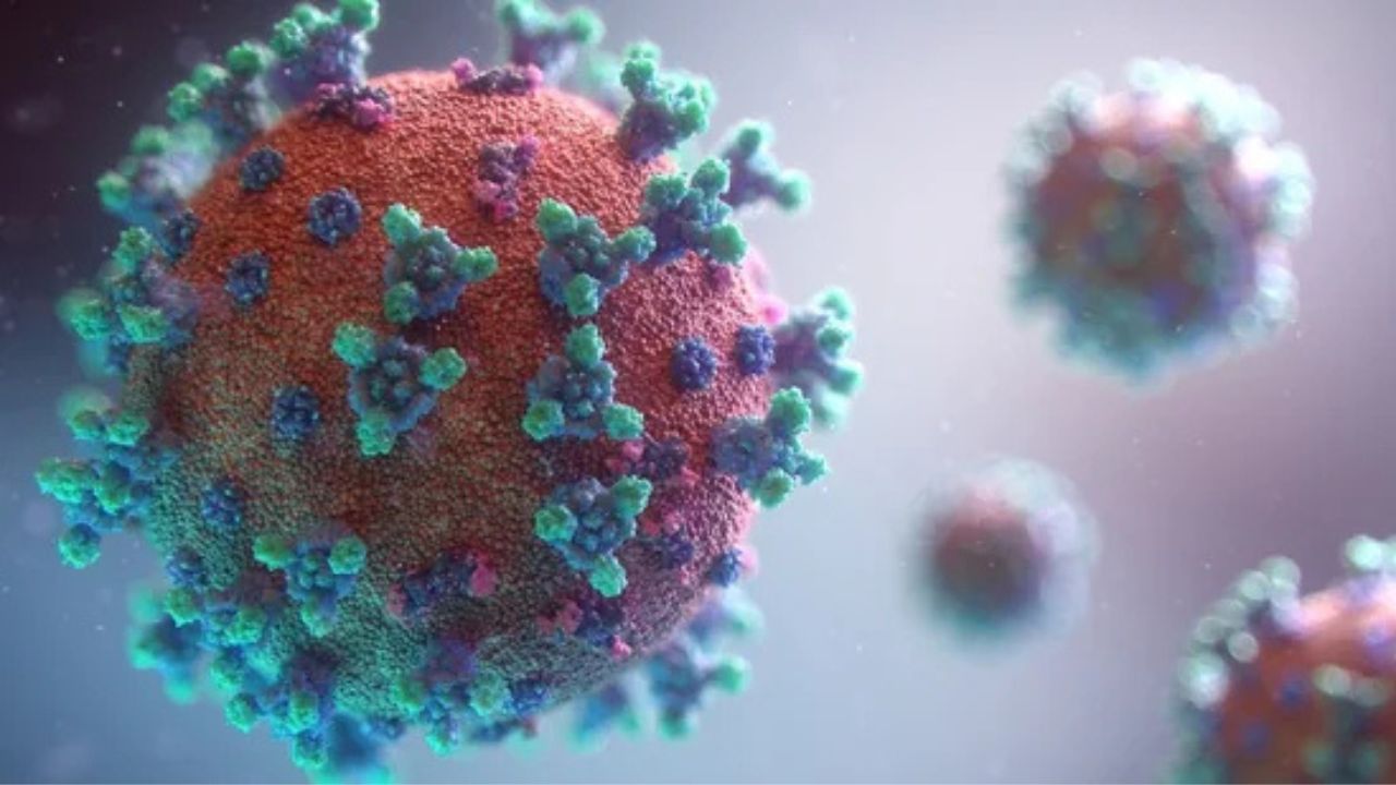 HMPV virus: क्या है यह और इसके लक्षण, जानिए सब कुछ