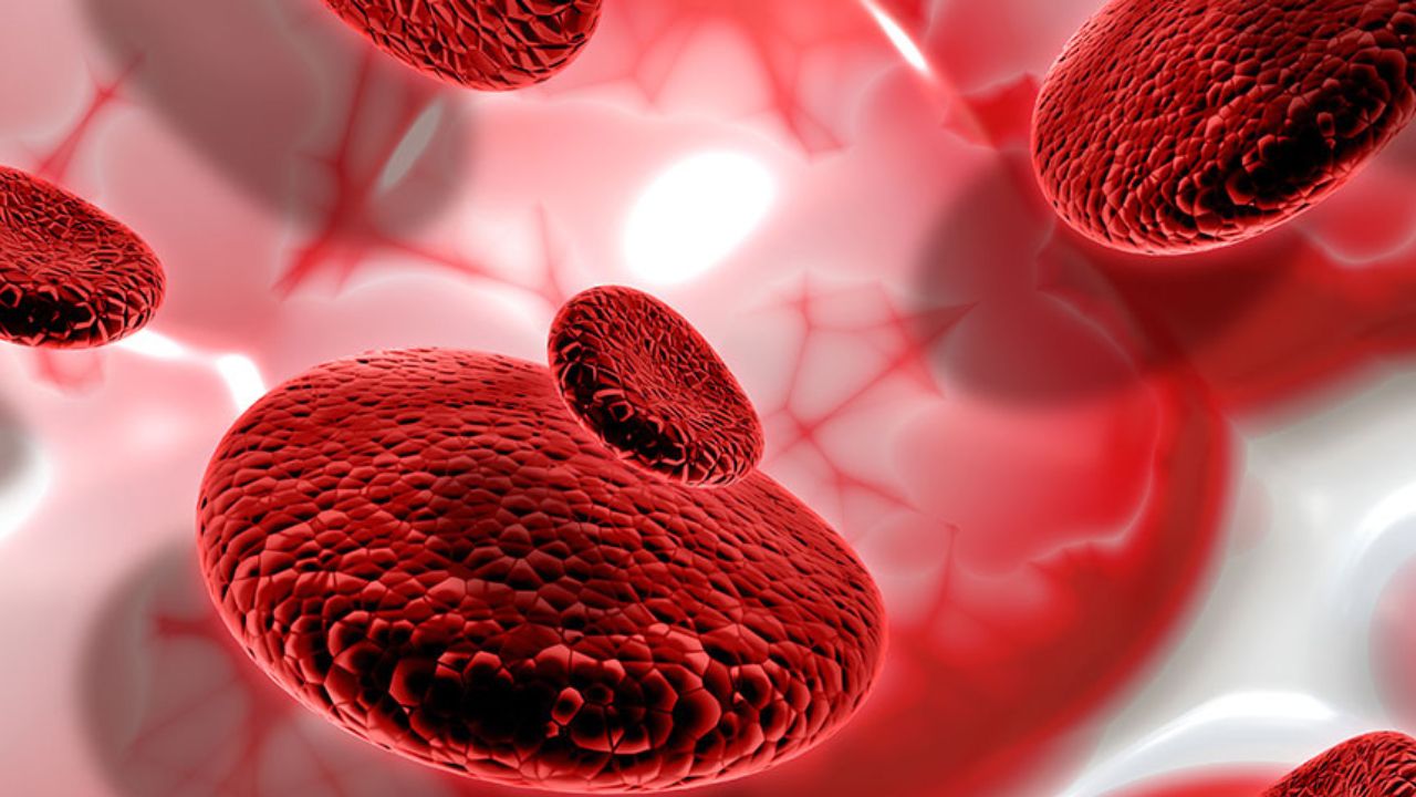 World Thalassemia Day: क्या है थैलेसीमिया? जानें इसके प्रकार और लक्षण