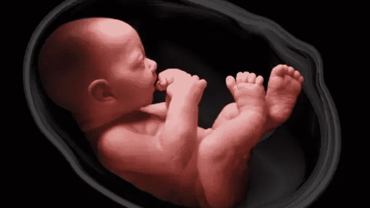 How Babies Breathe: गर्भ में नहीं लेता सांस फिर भी जीवित रहता है शिशु, जानिए इस रहस्य के पीछे का विज्ञान!