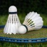 GK Quiz on Badminton: क्या आप बैडमिंटन की रोचक जानकारियों में माहिर हैं? इस मजेदार GK MCQ क्विज़ के साथ अपनी जानकारी का परीक्षण करें