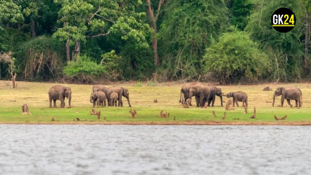 GK Quiz on National Parks of India: क्या आप इस राष्ट्रीय उद्यान की चुनौती को जीत सकते हैं?