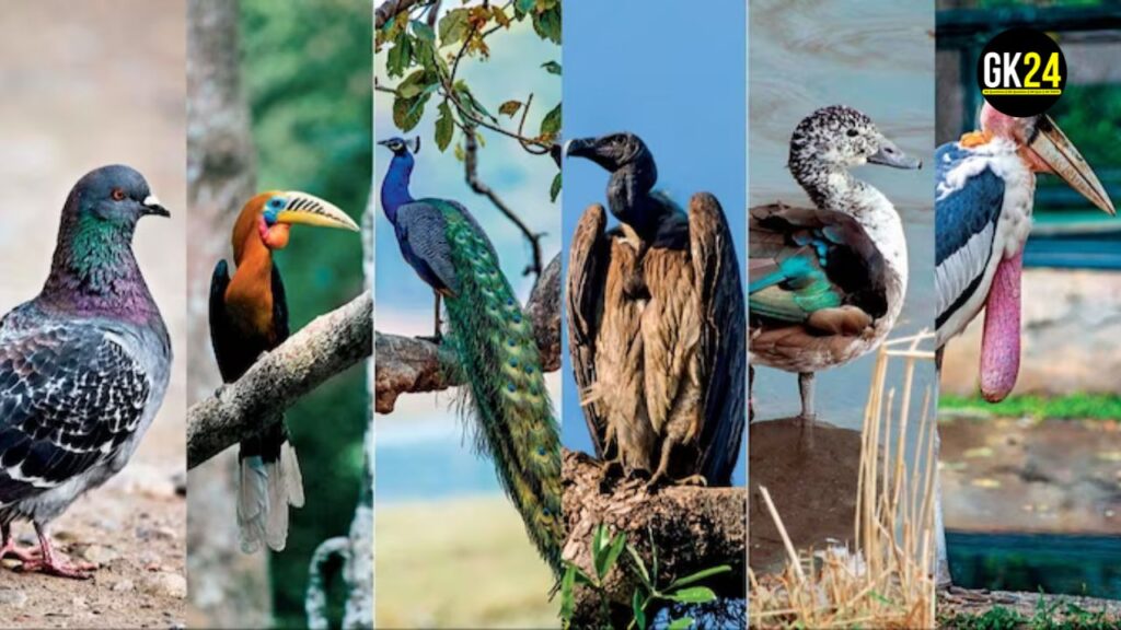 GK Quiz on Birds of India: क्या आप भारतीय पक्षियों को जानते हैं? हमारा जीके क्विज खेलें!