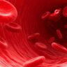 GK Quiz on Blood: कितना जानते हैं आप?