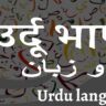 Urdu language: उत्तर प्रदेश में उर्दू भाषा का स्थान