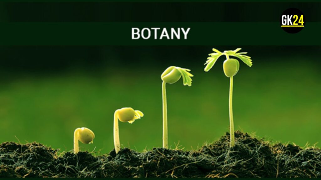 Botany: पौधों का अध्ययन और उनका महत्व