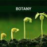 Botany: पौधों का अध्ययन और उनका महत्व