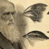 GK Quiz on Charles Darwin: विकास के रहस्यों को अनलॉक करें