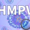 HMPV virus: क्या है यह और इसके लक्षण, जानिए सब कुछ