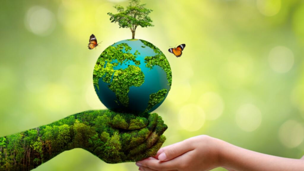 World Environment Day 2025: प्लास्टिक प्रदूषण पर बड़ा हमला 2025 में कैसे छोटे-छोटे कदम बदल सकते हैं पूरी दुनिया