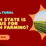 Indian Agricultural: कौन सा राज्य उगाता है भारत का अनाज? जानिए हैरान कर देने वाले तथ्य