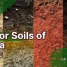 Major Soils of India: भारत की प्रमुख मिट्टियों और उनकी विशेषताएँ
