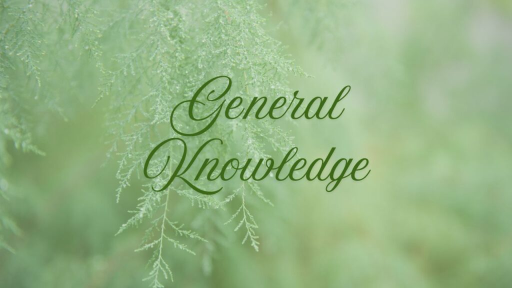 General Knowledge: जुलाई 2025 की प्रमुख अंतरराष्ट्रीय और राष्ट्रीय घटनाएं