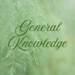 General Knowledge: जुलाई 2025 की प्रमुख अंतरराष्ट्रीय और राष्ट्रीय घटनाएं
