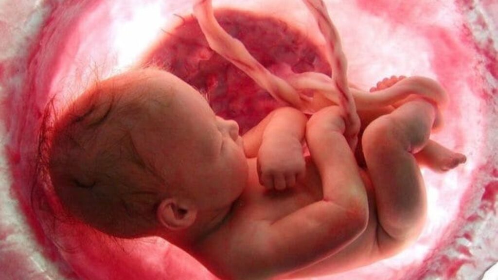 How Babies Breathe: गर्भ में नहीं लेता सांस फिर भी जीवित रहता है शिशु, जानिए इस रहस्य के पीछे का विज्ञान!