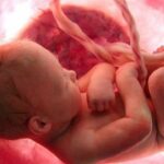 How Babies Breathe: गर्भ में नहीं लेता सांस फिर भी जीवित रहता है शिशु, जानिए इस रहस्य के पीछे का विज्ञान!