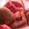 How Babies Breathe: गर्भ में नहीं लेता सांस फिर भी जीवित रहता है शिशु, जानिए इस रहस्य के पीछे का विज्ञान!