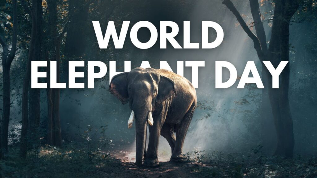 World Elephant Day: हाथी की सुरक्षा क्यों जरूरी? विश्व हाथी दिवस पर जानिए इसके जंगल के महत्व को