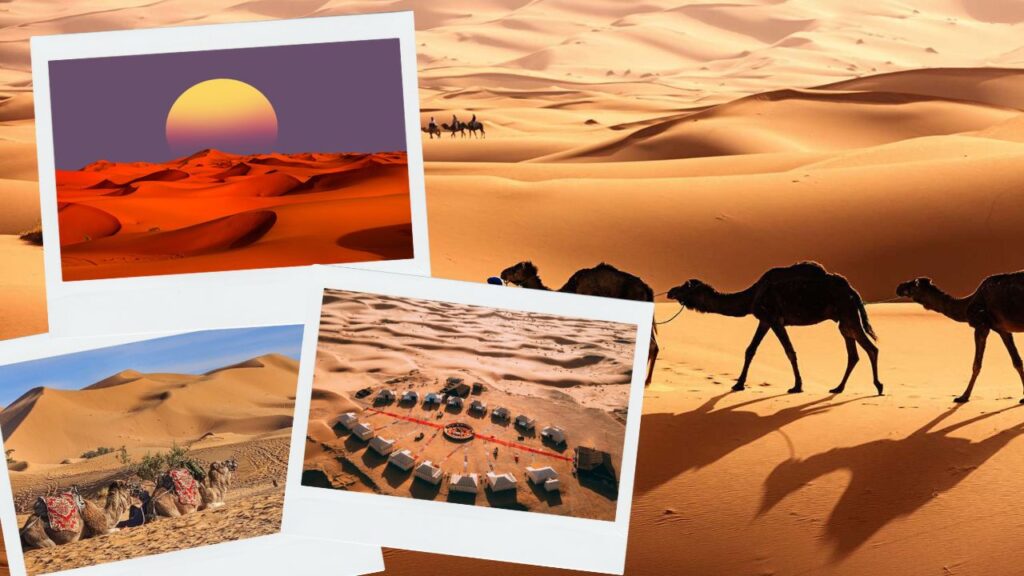 Sahara Desert: दुनिया का सबसे बड़ा गर्म रेगिस्तान, रेत के टीले, चरम जलवायु और अद्भुत वन्यजीवन की कहानी