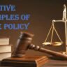 Directive Principles of State Policy: DPSPs और मौलिक अधिकारों में बड़ा अंतर जानिए, सरकार पर क्या है असर